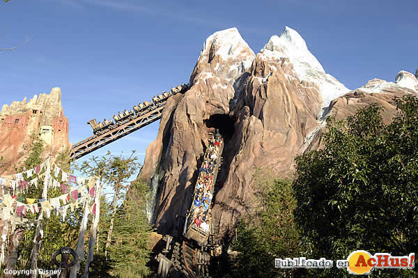 Imagen de Disney´s Animal Kingdom  Expedition Everest 8